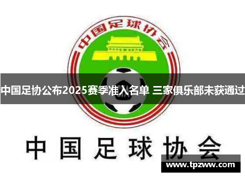 中国足协公布2025赛季准入名单 三家俱乐部未获通过